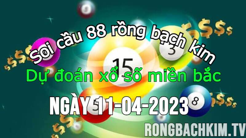 Rồng Bạch Kim 555 là trang web nào?