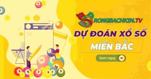 rồng bạch kim 24h