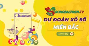 rồng bạch kim 366