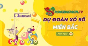 soi cầu lô chuẩn