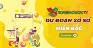 soi cầu rồng bạch kim 999