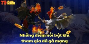 Những điểm nổi bật khi tham gia đá gà mạng
