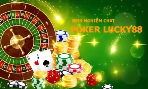 Chuyên gia chia sẻ bí kíp chơi poker hiệu quả và chuyên nghiệp