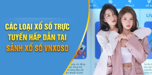 Tổng quan về nhà cái VNXOSO