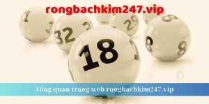 Tổng quan trang web rongbachkim247.vip 