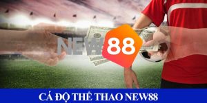 Giới thiệu thể thao New88