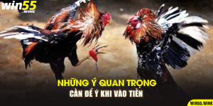 Những ý quan trọng cần để ý khi vào tiền