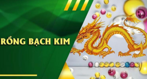 Lợi Ích Khi Tham Gia Soi Cầu Rồng Bạch Kim Tại For88