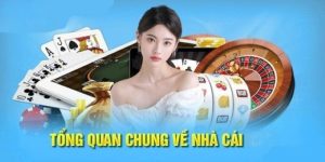 Mayclub đã có hơn 6 năm hoạt động trên thị trường