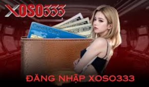 Điều kiện để đăng nhập thành công vào nhà cái Xoso333