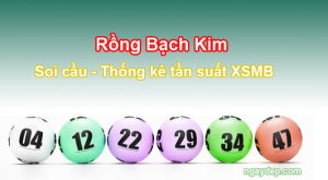 Mẹo Chơi Rồng Bạch Kim Thành Công