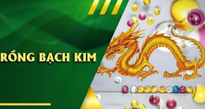 Mẹo Soi Cầu Rồng Bạch Kim Hiệu Quả