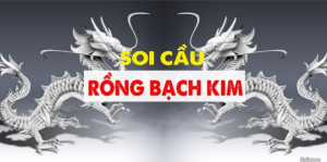 Soi Cầu Là Gì