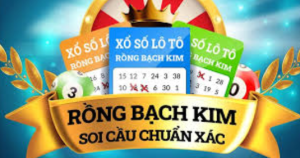 Tổng Quan Về Rồng Bạc Bạch Kim