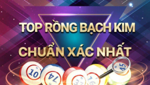 Tổng Quan Về Rồng Bạch Kim