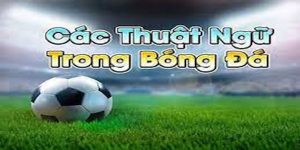 Các thuật ngữ cơ bản trong cá cược thể thao 78Win