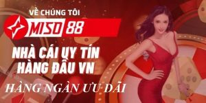 Giới thiệu Miso88 với những thông tin cơ bản