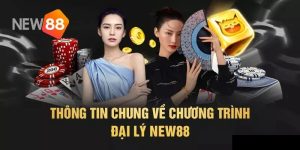 Quyền lợi của các Đại Lý New88