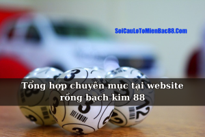 Tổng hợp chuyên mục tại website rồng bạch kim 88