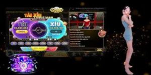 Thông tin tổng quan về tài xỉu livestream Go88