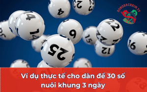 Ví dụ thực tế cho dàn đề 30 số nuôi khung 3 ngày