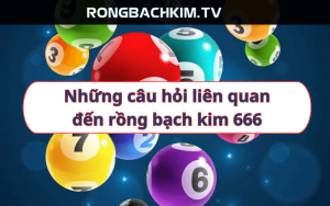 Những câu hỏi liên quan đến rồng bạch kim 666