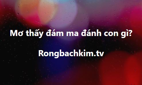 Mơ đám ma đánh con gì?