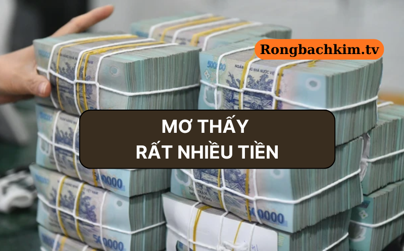 Chiêm bao thấy rất nhiều tiền