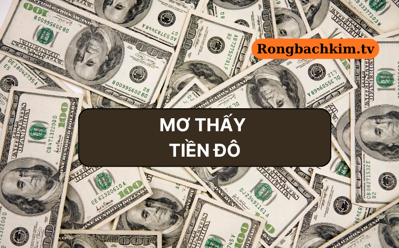 Chiêm bao thấy tiền đô