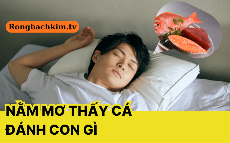 Mơ thấy cá đánh con gì