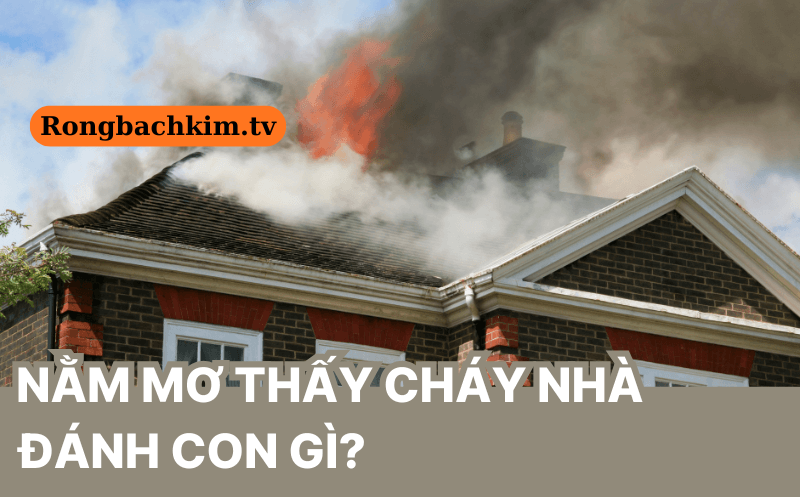 Mơ thấy cháy nhà đánh con gì