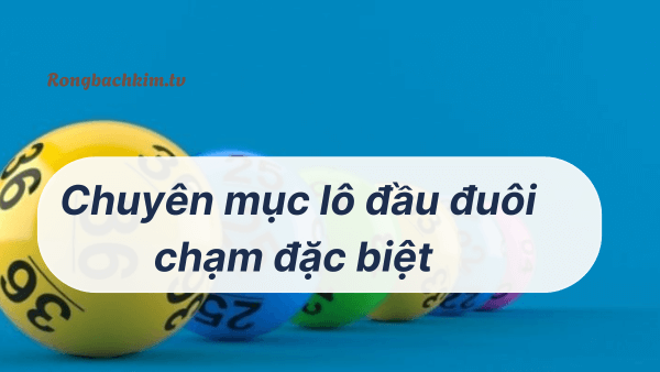 Đầu đuôi chạm đặc biệt
