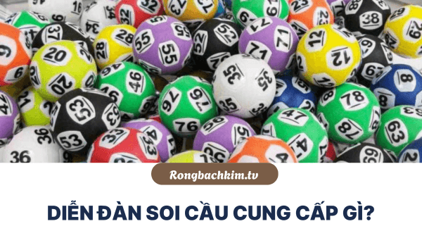 Diễn đàn cung cấp gì