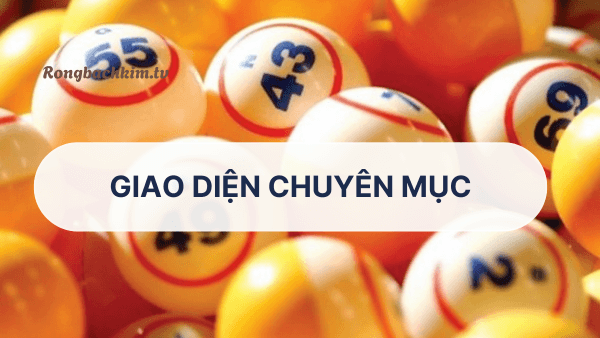 Giao diện hiện đại