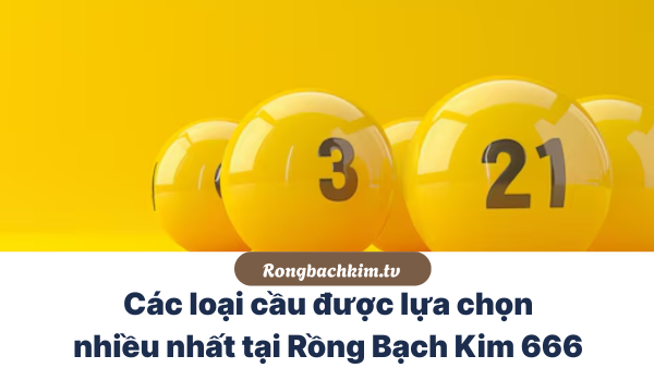 Các loại cầu RBK 666