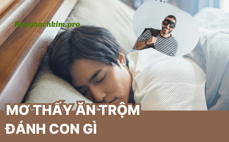 Mơ thấy ăn trộm đánh con gì