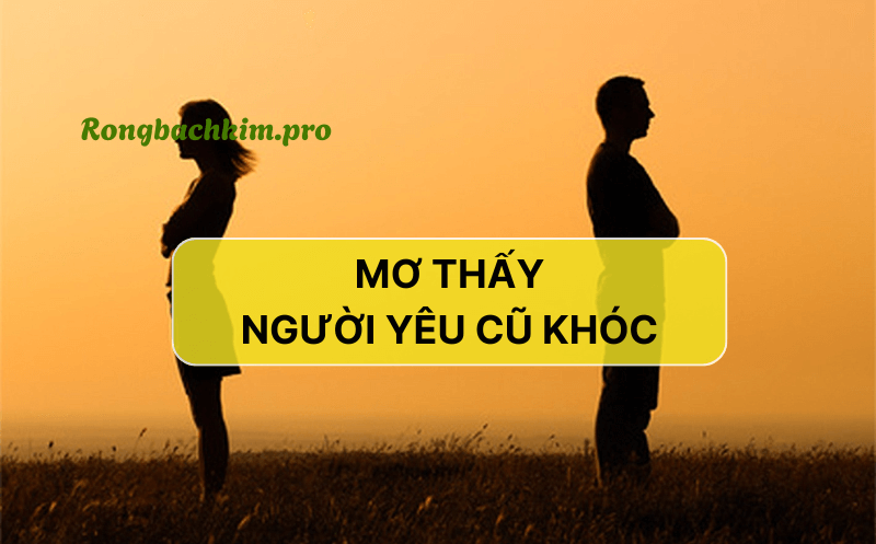 Chiêm bao thấy người yêu cũ khóc