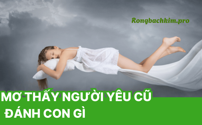 Mơ thấy người yêu cũ đánh con gì