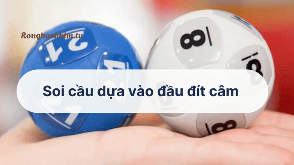 Soi cầu dựa vào đầu đít câm