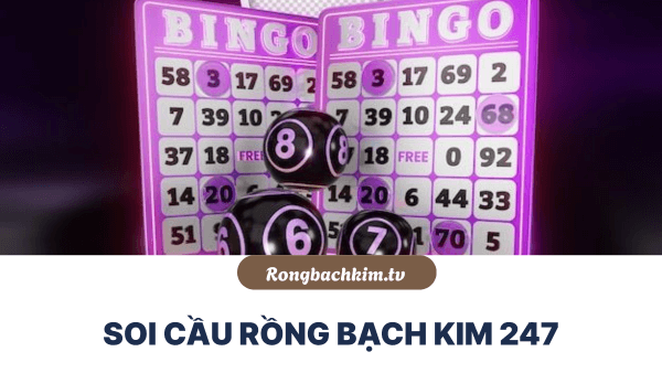 soi cầu 247 rồng bạch kim