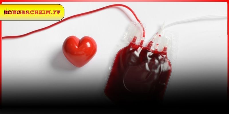 Giải đáp ý nghĩa mơ thấy máu kinh là gì?