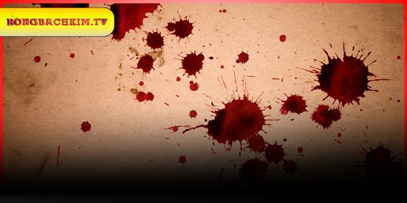 Luận giải việc chiêm bao thấy máu ở người lạ đánh con gì?