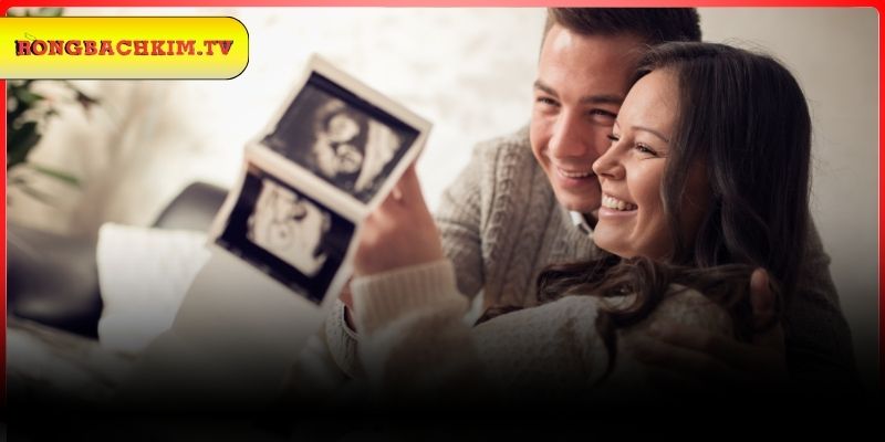 Tổng hợp con số nên đánh lô khi mộng có bầu