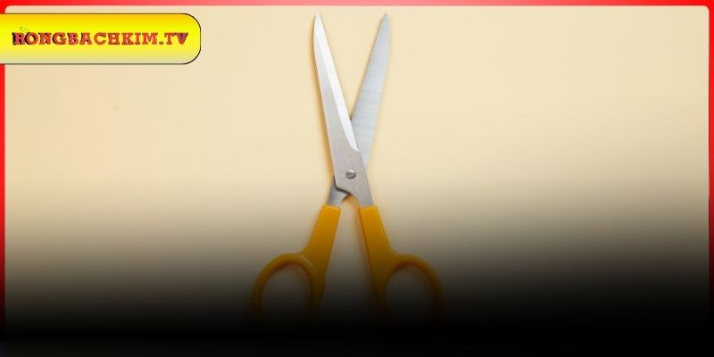 Các con số tài lộc từ giấc mơ thấy cái kéo