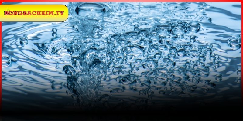 Điềm báo của chiêm bao thấy nước lũ vô cùng dữ dội