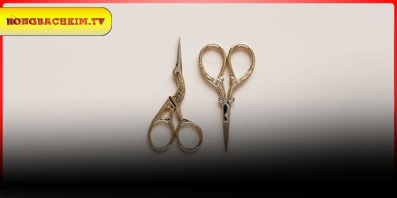 Khám phá thông điệp của giấc mơ thấy cái kéo