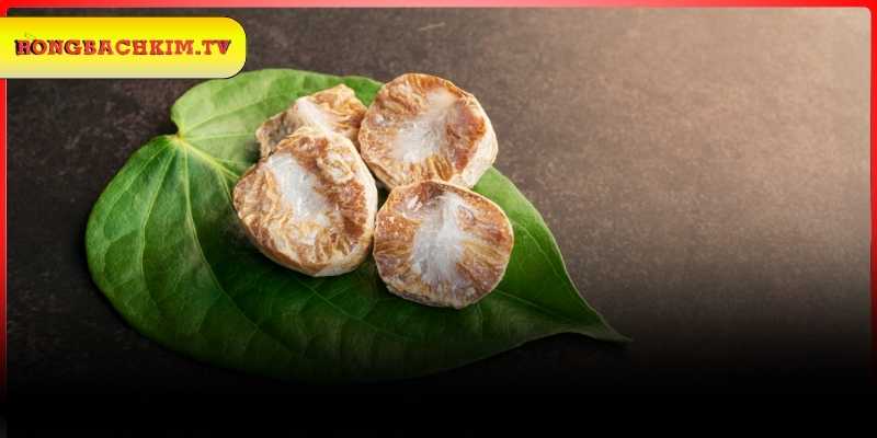 Những con số tiềm năng cho giấc mộng lá trầu