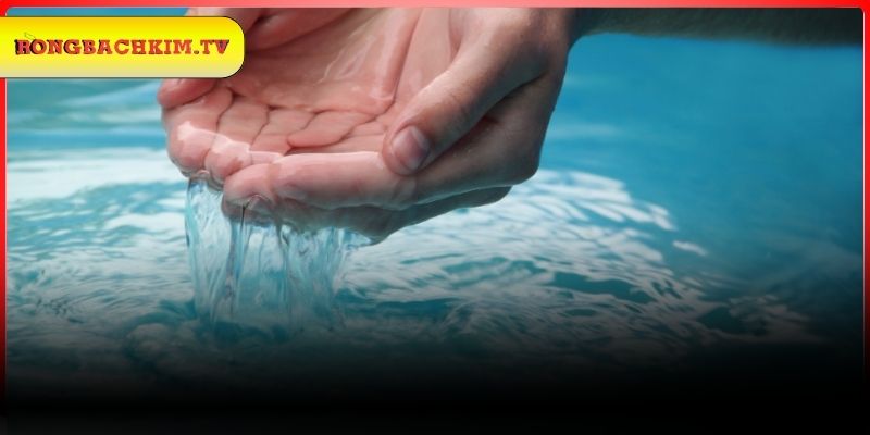 Những giấc mộng mơ thấy nước hiếm gặp