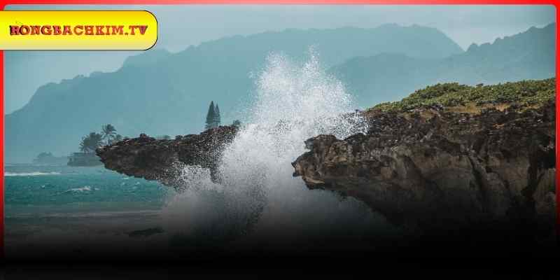 Ý nghĩa của giấc mơ thấy sóng thần