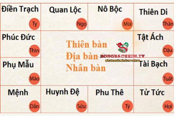 12 cung trong tử vi